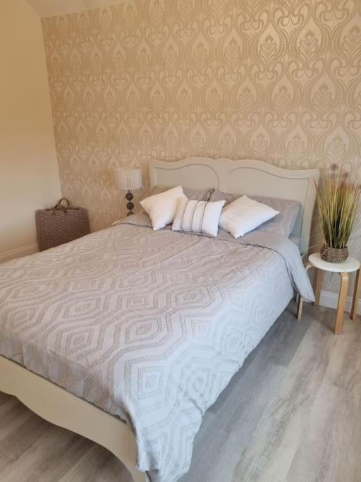Somers Lodge لايستر المظهر الخارجي الصورة
